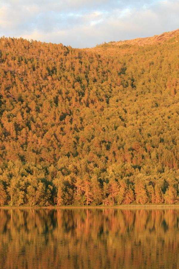 Готель Tommerneset Camping Innhavet Екстер'єр фото